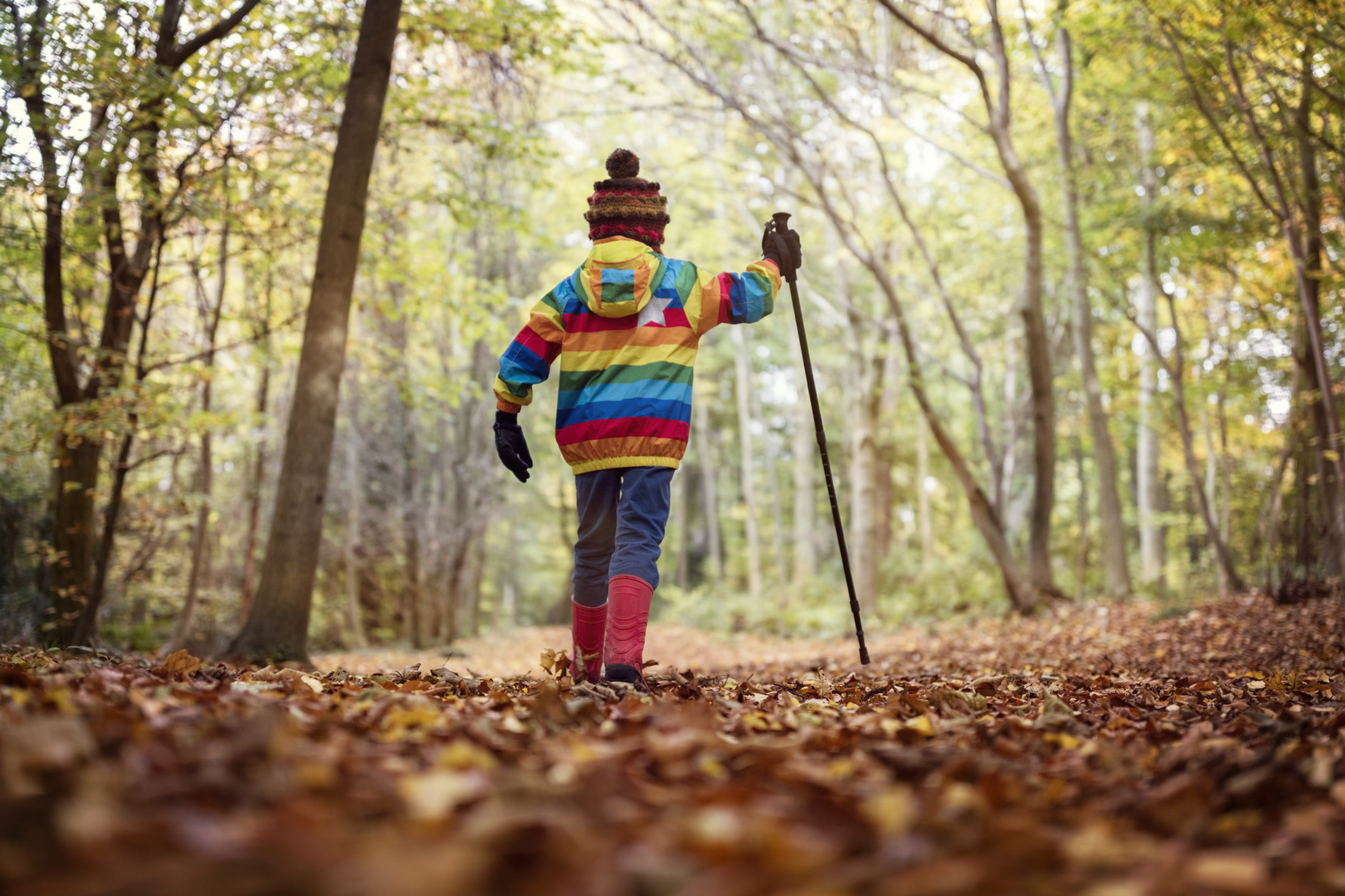 Child with back turned walks in forest, signifying resilience