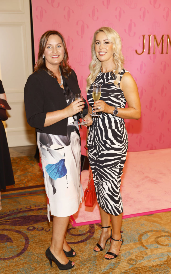 Claire O'Donnell and Orla Brennan Doyle  - Pic by Kieran Harnett, ISPCC Brown Thomas Lunch